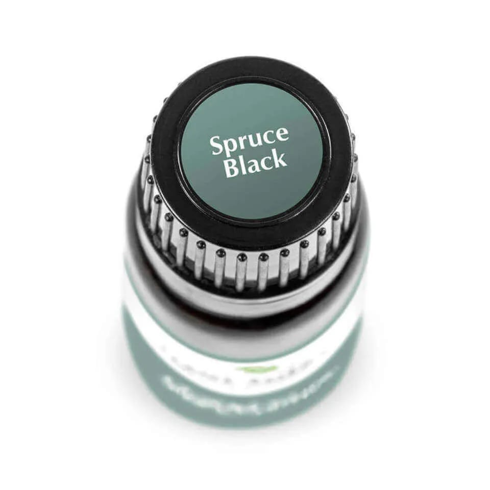 Spruce Black Essential Oil in 1oz/30mL